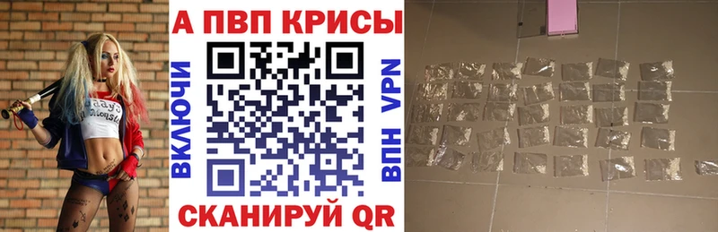 дарнет шоп Обнинск A PVP СК