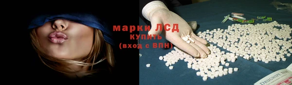 прущая мука Инсар