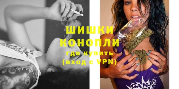 прущая мука Инта