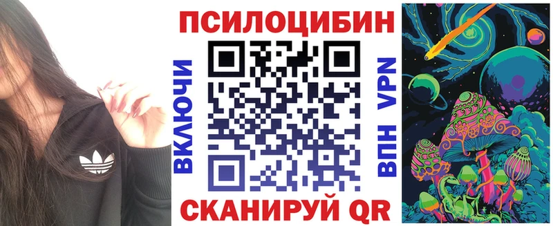 где продают   Обнинск  Галлюциногенные грибы Magic Shrooms 